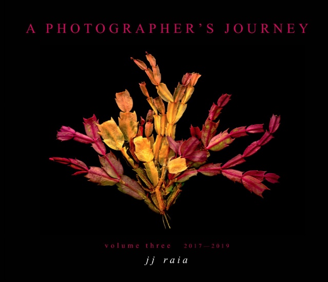 A Photographer's Journey - Vol. 3
